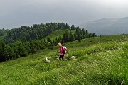 89 Scendendo sul 263 bel sentiero